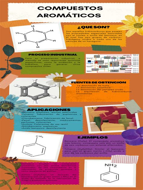 Esquema molecular que muestra la conexión de compuestos aromáticos entre diferentes grupos de alimentos