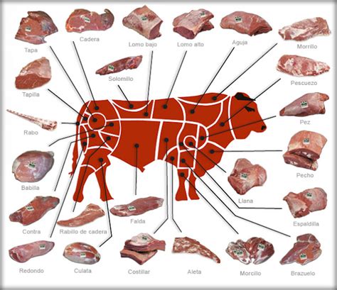 Despiece de churrasco de ternera en España, mostrando los huesos cartilaginosos