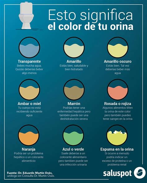 Infografía: Colores de orina de conejo y su significado
