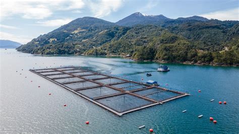 Foto temática de granjas de salmón o acuicultura en Chile
