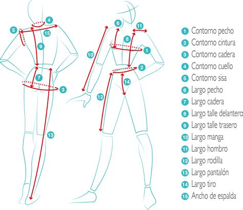 Esquema de persona con medidas corporales señaladas para confección de ropa