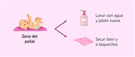 Esquema explicativo sobre la zona del pañal y la aplicación de polvos absorbentes.