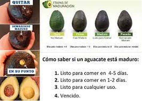 Imagen de una palta fresca y madura, lista para ser preparada en una salsa.