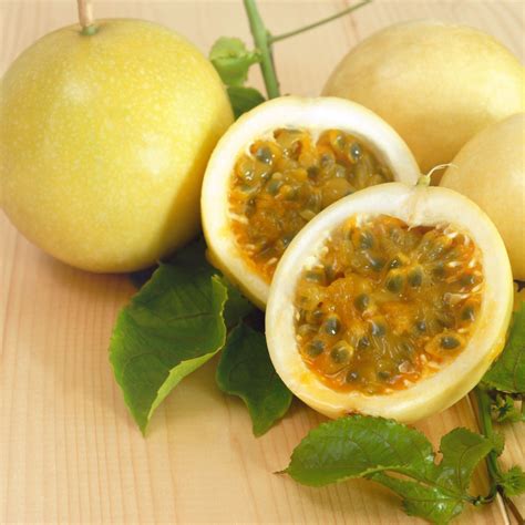 Maracuyá amarillo (Passiflora edulis f flavicarpa)