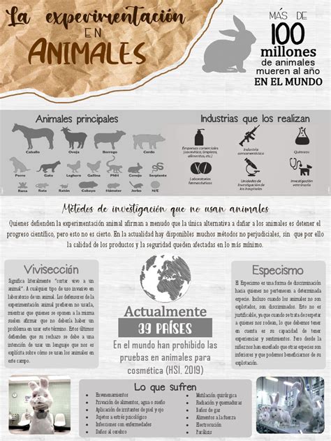 Infografía: Métodos alternativos a la experimentación animal