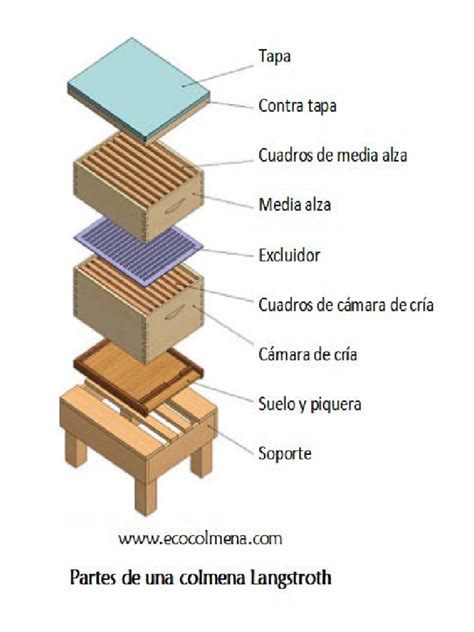 Esquema de las partes de una colmena y el equipo de apicultura