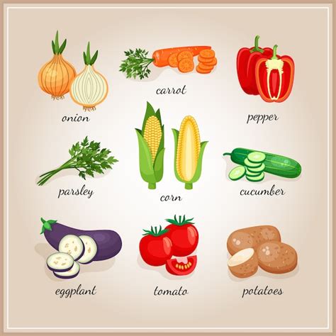 Ilustración de ingredientes vegetales y animales (con una X sobre los animales)