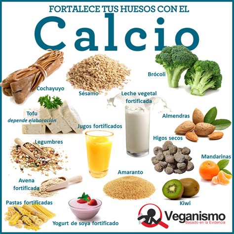 Infografía sobre fuentes vegetales de calcio y factores que afectan su absorción