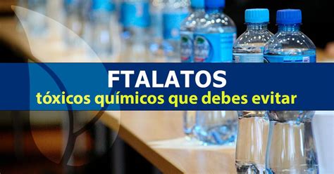 Diagrama que ilustra cómo los ftalatos pueden migrar de los envases y guantes a los alimentos.