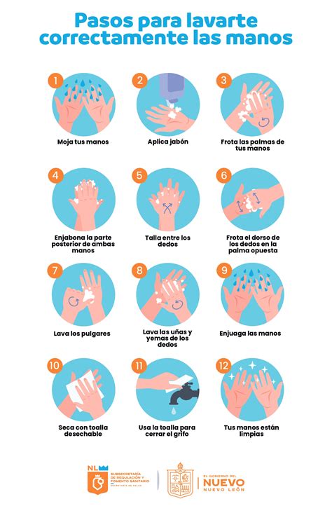 Infografía paso a paso sobre el uso de cepillos para vegetales y el lavado hoja por hoja.