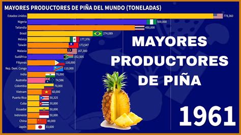 Gráfico estadístico sobre la distribución de productores de piña en Tamshiyacu por tamaño de parcela