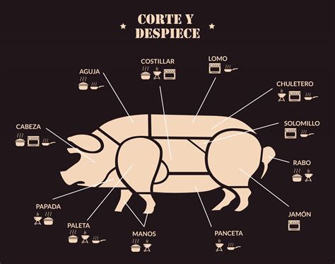 Infografía que muestra las distintas secciones del cerdo y sus cortes principales