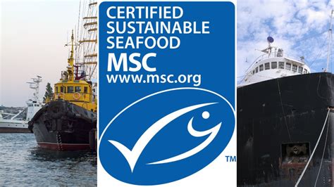 Logo del Marine Stewardship Council (MSC) y sello de certificación