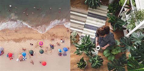 Fotografía cenital de una tabla con los cuatro tipos de sándwiches cortados