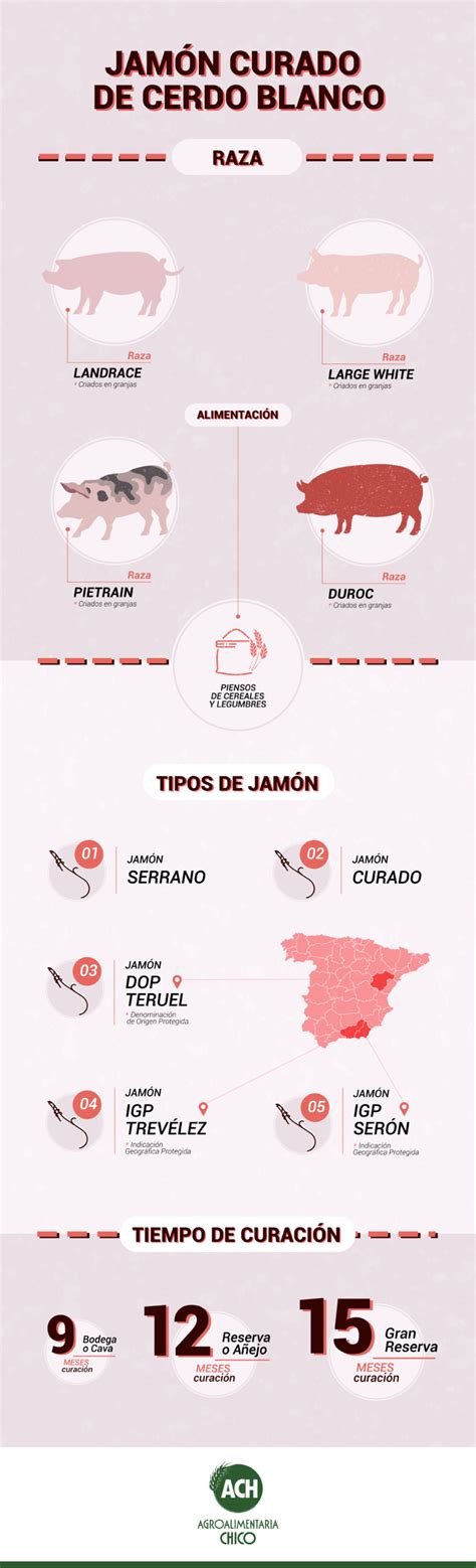 Infografía comparativa de los tiempos de curación de diferentes tipos de jamón serrano (bodega, reserva, gran reserva)