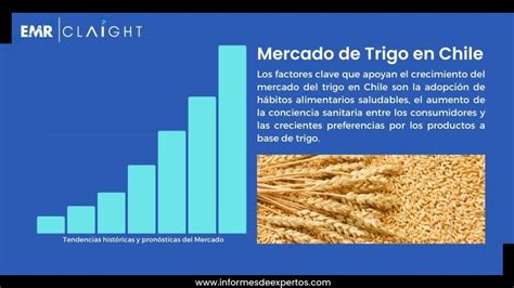 Gráfico de producción de trigo en Chile durante el periodo colonial