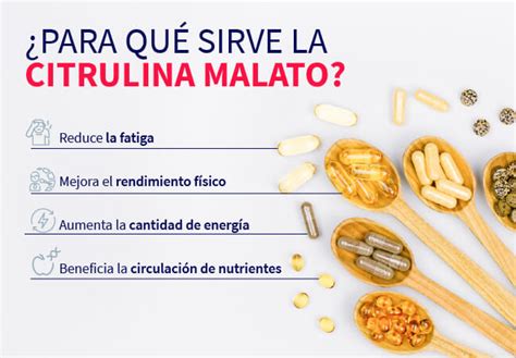 Infografía comparando la L-citrulina y el malato de citrulina, mostrando su impacto en el óxido nítrico y el rendimiento muscular.