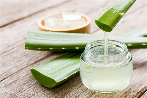 Collage de imágenes mostrando diferentes aplicaciones del gel de Aloe Vera en piel y cabello.