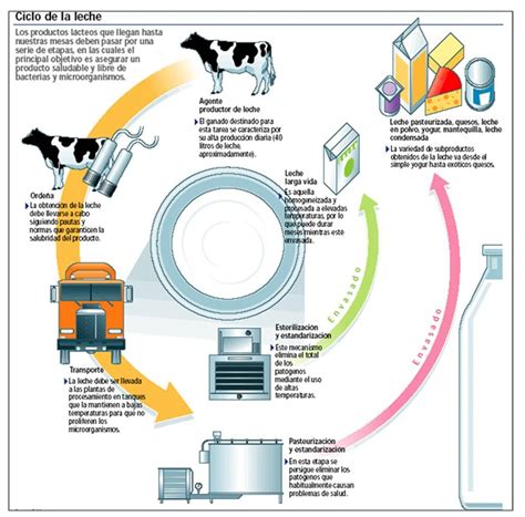 Esquema sobre la composición de la leche y el proceso de centrifugado para separar la nata.