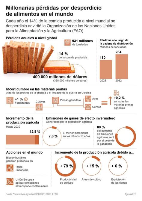 Infografía: Pérdidas de alimentos por plagas en almacenes