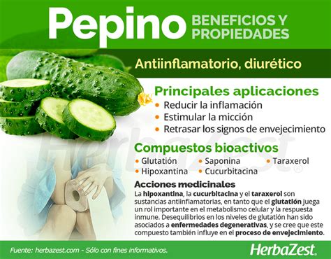 Infografía comparativa de los beneficios nutricionales del pepino de mar según diferentes perspectivas culinarias y de salud.