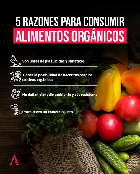 Infografía comparativa sobre los beneficios de consumir productos orgánicos frente a productos procesados.
