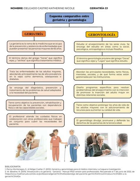 Esquema comparativo entre parrilla y estufa