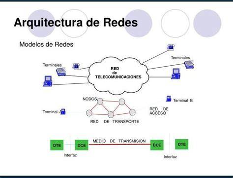 Ilustración comparativa de la arquitectura de redes de genes para la respuesta a sequía y frío en Arabidopsis thaliana.