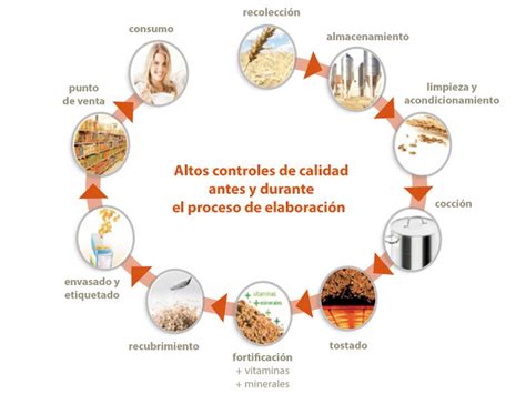 Esquema del proceso de obtención de harina de algarroba: recolección de vainas maduras, secado, molienda y purificación del producto final.