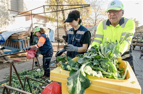 Esquema del flujo de alimentos y residuos en el proyecto Ferias Libres Basura Cero
