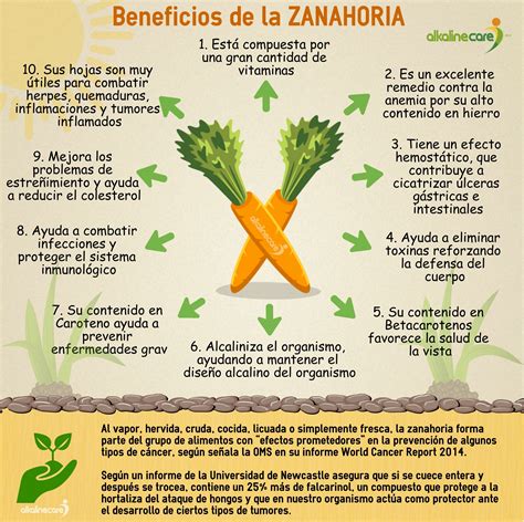 Infografía sobre los beneficios de la zanahoria y la remolacha