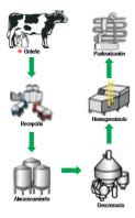 Proceso de batido de la crema de leche hasta la separación de la grasa.