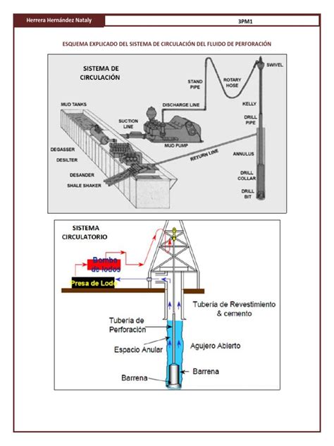 Esquema de un asador rotatorio mostrando la circulación de grasas y jugos