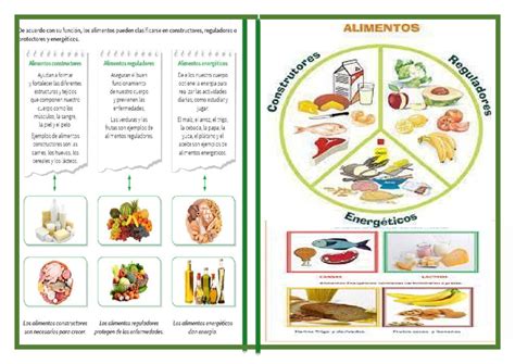 Esquema infográfico que clasifica los alimentos en constructores, energéticos y reguladores según su función nutricional