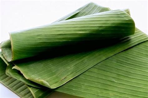 Fotografía de las hojas de plátano dispuestas en cruz listas para el armado del tamal.
