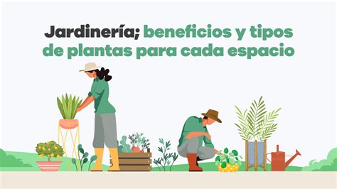 Infografía mostrando los beneficios de la jardinería interior