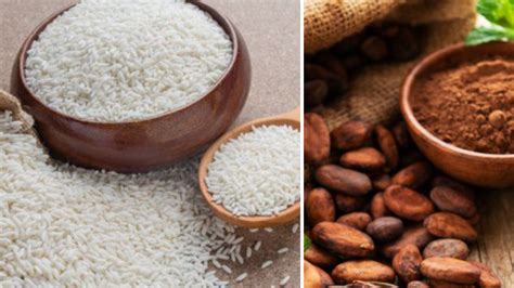 Plato servido de Chufla con cacao y arroz