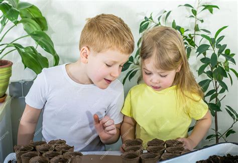 Niño plantando un ají en una maceta
