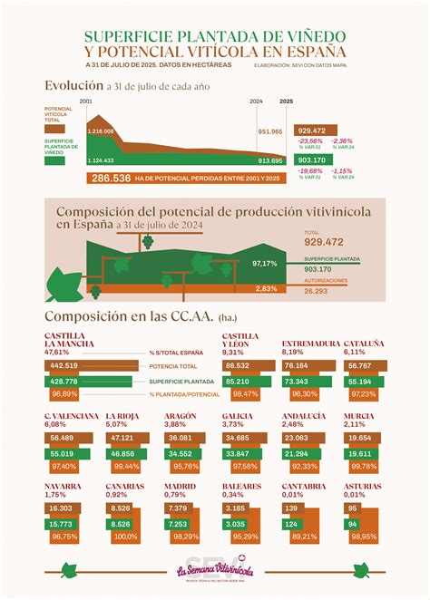 Infografía sobre la superficie plantada de frutales en la Región del Maule