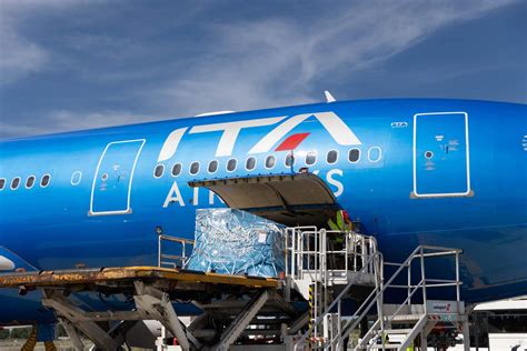 Flota de aviones de ITA Airways, mostrando su nueva identidad visual.