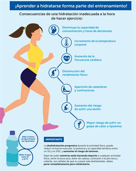 Infografía sobre la importancia de la hidratación antes, durante y después del ejercicio