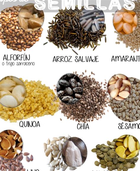 ilustración detallada de los diferentes tipos de semillas con sus nombres y beneficios principales