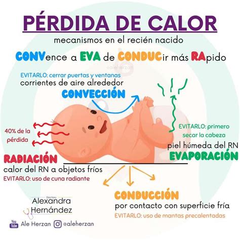 Esquema de las principales vías de pérdida de calor en una vivienda