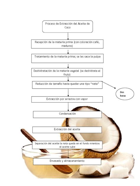 Ilustración del proceso de extracción del aceite de coco de la pulpa