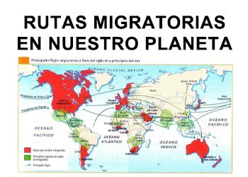 Mapa mostrando las rutas migratorias que influyeron en el reggaeton (Jamaica, Panamá, Puerto Rico, Nueva York)
