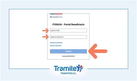 Esquema de cómo acceder a los servicios de Fonasa en línea