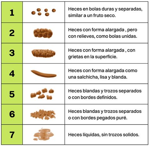 Infografía de la Escala de Bristol para las heces, mostrando los 7 tipos
