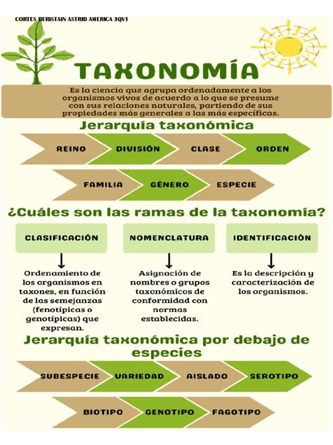 infografía sobre la taxonomía y distribución global del conejo europeo