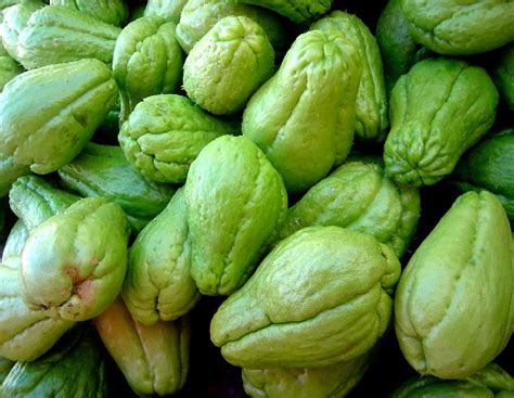 Foto de la patata del aire o chayote con su piel verde y forma peculiar
