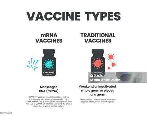 Infografía comparando vacunas tradicionales y comestibles.